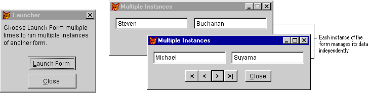 FoxProLaunchFormMultiples screenshot